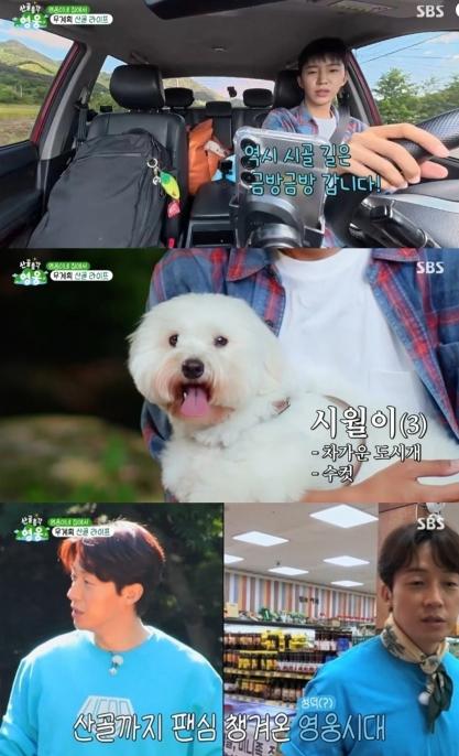 [SBS 산골총각 영웅] 첫 방송부터 시청률 1위! 분당 최고 시청률 6.5%까지 치솟아